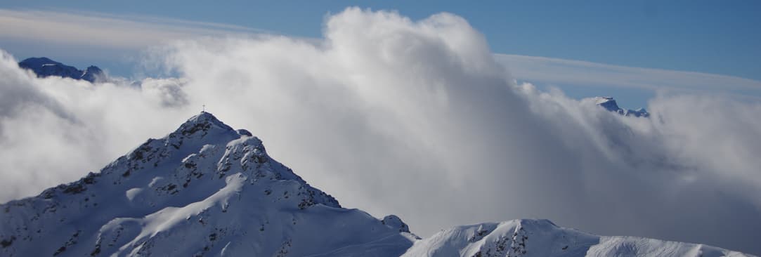 Weiterentwicklung der kostenlosen Camps zum Wohle der Natur